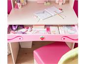 SL Princess Study Desk &  Unit  / میز تحریر و قفسه کتاب پرنسس 1