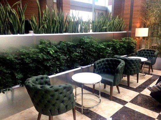 نوع منبت کاری