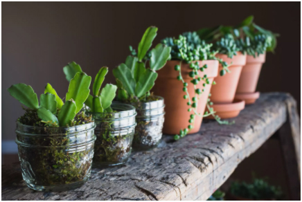 فنگ شویی در دکوراسیون خانه