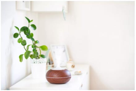 فنگ شویی در دکوراسیون خانه