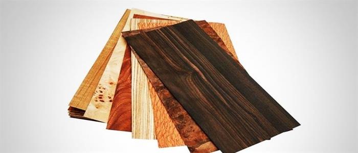 2) درخت پهن برگ