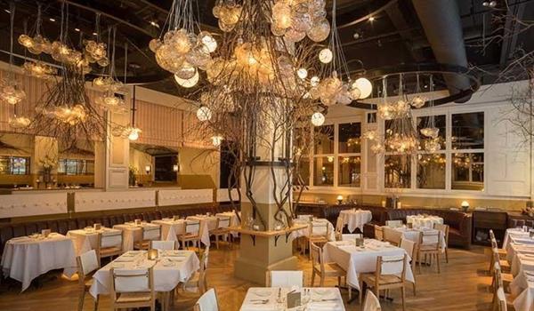 c. به سر و صدایی که صندلی ها تولید میکنند توجه داشته باشید: