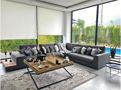 مبلمان رنزو کرنر