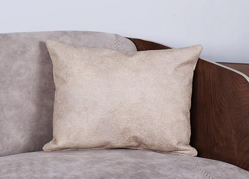 Ardin Cushion