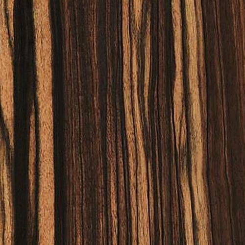 چوب های آبنوس :