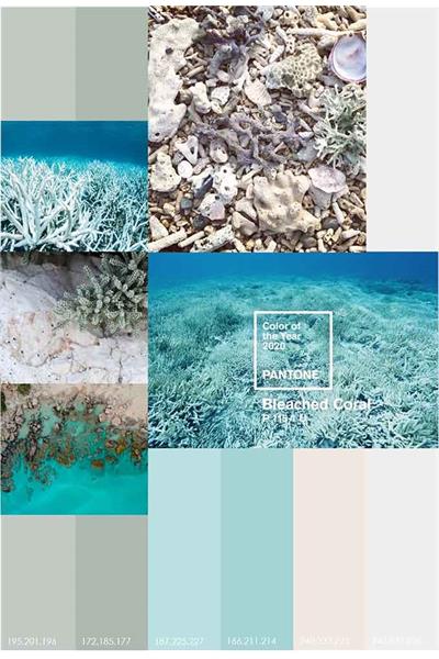 بر چه معیاری در دکوراسیون داخلی تنوع رنگ ایجاد می شود؟