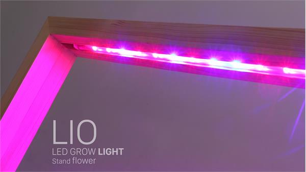 استند گل با لامپ تقویت رشد گیاه