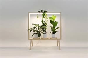 استند پایه گل Lio