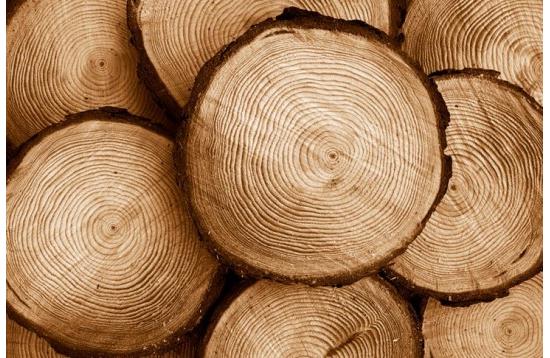 حرف پایانی: