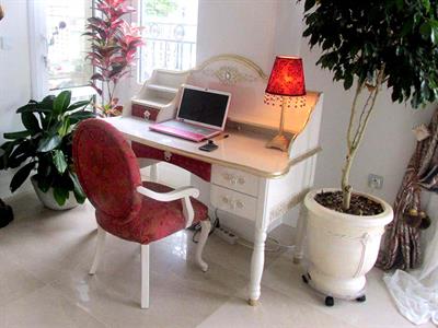 سرویس سلطان