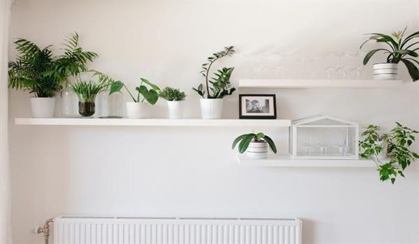 تأثیر اکسسوری در دکوراسیون